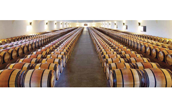 vino-MoutonRothschild-BDR