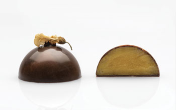 Ansonica-Cioccolatino-Elba