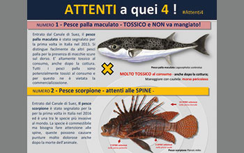 Attenti-a-quei-4