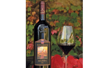 BRUNELLO
