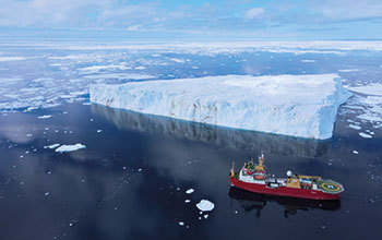 Bassi-in-Antartico