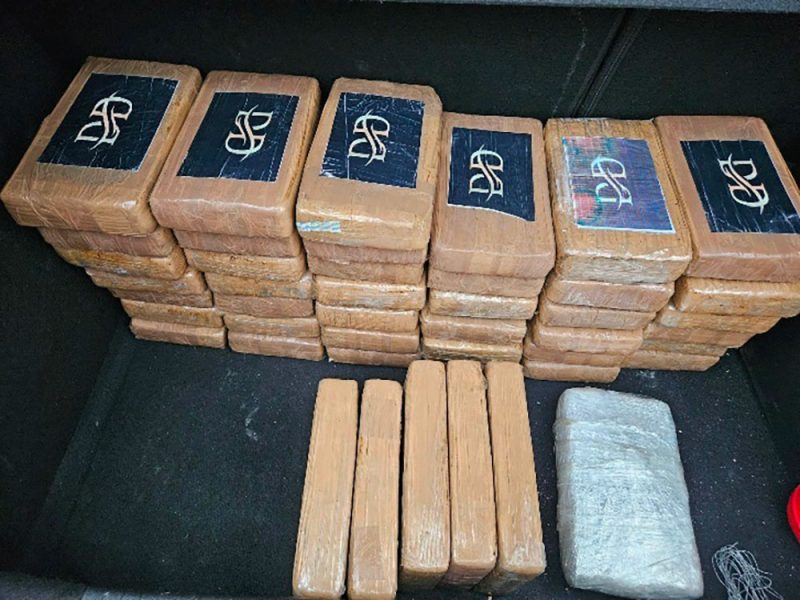 Blitz-antidroga-di-Dogane-e-Finanza-nel-porto-di-Livorno-cm12jpg