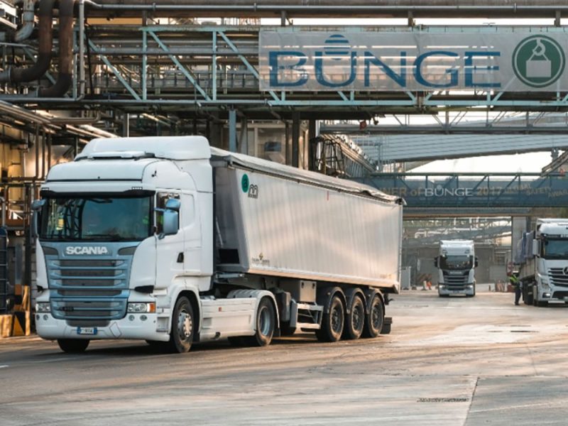 Bunge