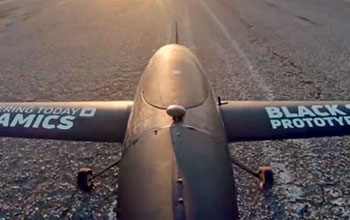 Dronomics-Black-Swan2