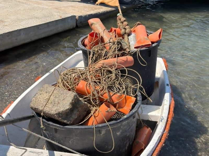 Le trappole per polpi sequestrate dalla Guardia Costiera di Vada com2