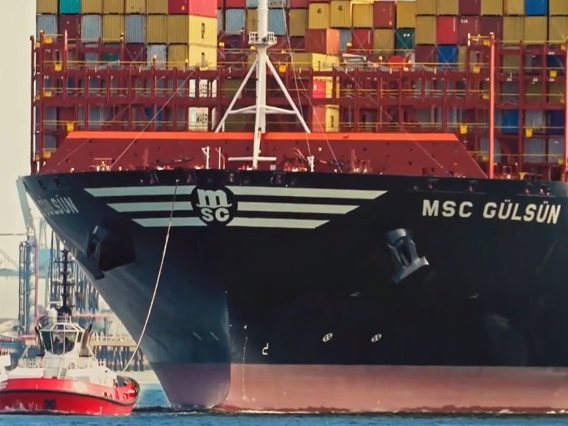 MSC GULSUN 21Y