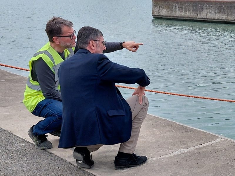 Ponte Fi-Pi-Li riposizionato Gariglio prof Losa com1