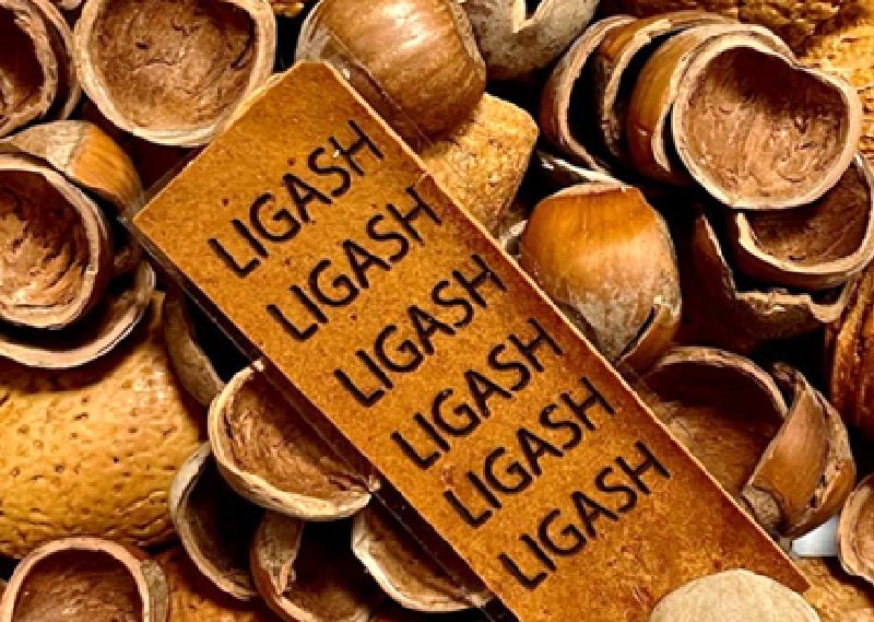 Santanna circuiti elettronici da gusci mandorle