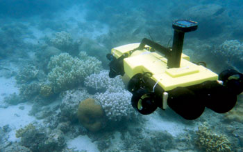 SeaDrone