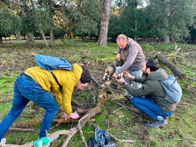 Watch-Edge-fauna-selvatica-del-Parco-naturale-di-San-Rossore