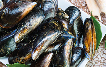 allevamento-cozze