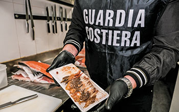 controlli-pesce-Guardia-Costiera