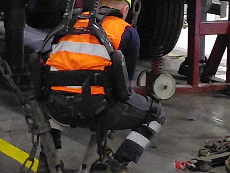 esoscheletro da dietro