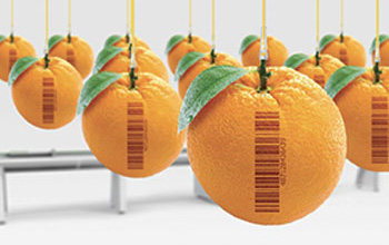 frutta_arance_codice_a_barre