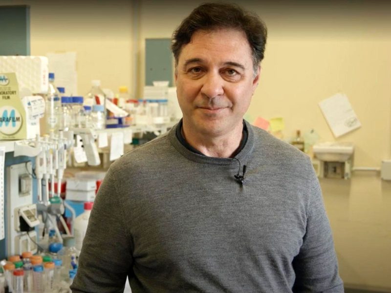 il-prof-alessandro-cellerino-insegna-fisiologia-alla-Scuola-Normale