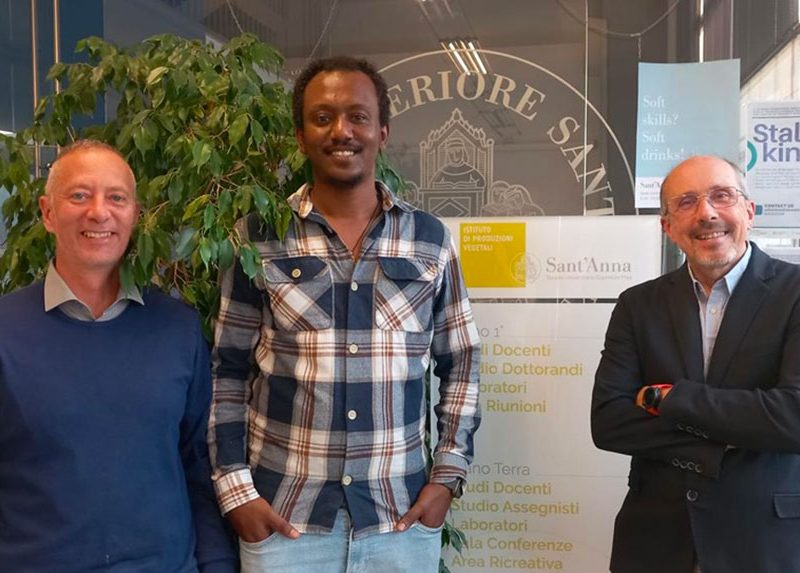 la-presentazione-della-ricerca-della-Scuola-Superiore-Sant-Anna-comsit1