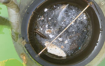 microplastiche-ARPAT