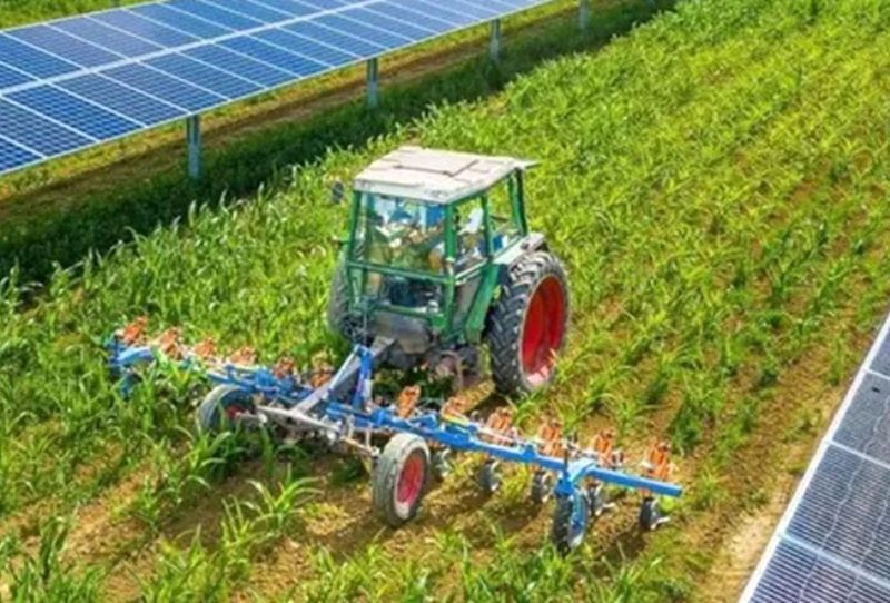 pannelli-fotovoltaici-in-campagna-e-le-coltivazioni-in-mezzo-1sirt