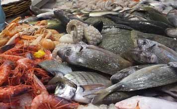pescato
