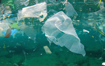 plastica_mare