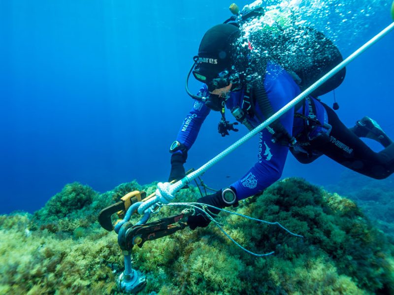 progetto-Marevivo-MedCoral-Guardians—le-boe-nel-mare-di-Ustica-com1