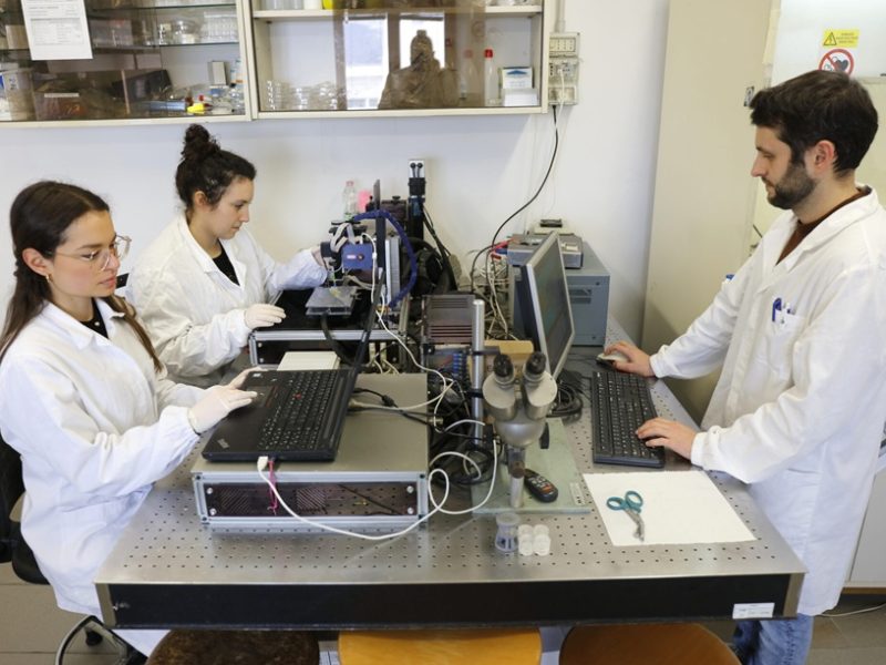 ricercatori e ricercatrici al lavoro in laboratorio com1si