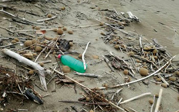 rifiuti-in-spiaggia