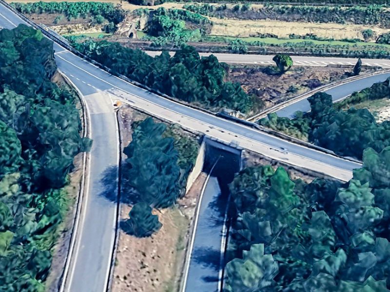 ss206Emilia-zona-alleportdi-Collesalvetti-eg
