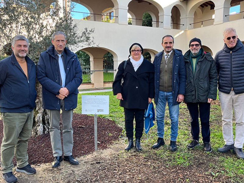 univ-Pisa-olivo-200-anni-nel-giardino-com1