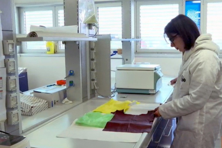 universit pisa dipartimento chimica forse