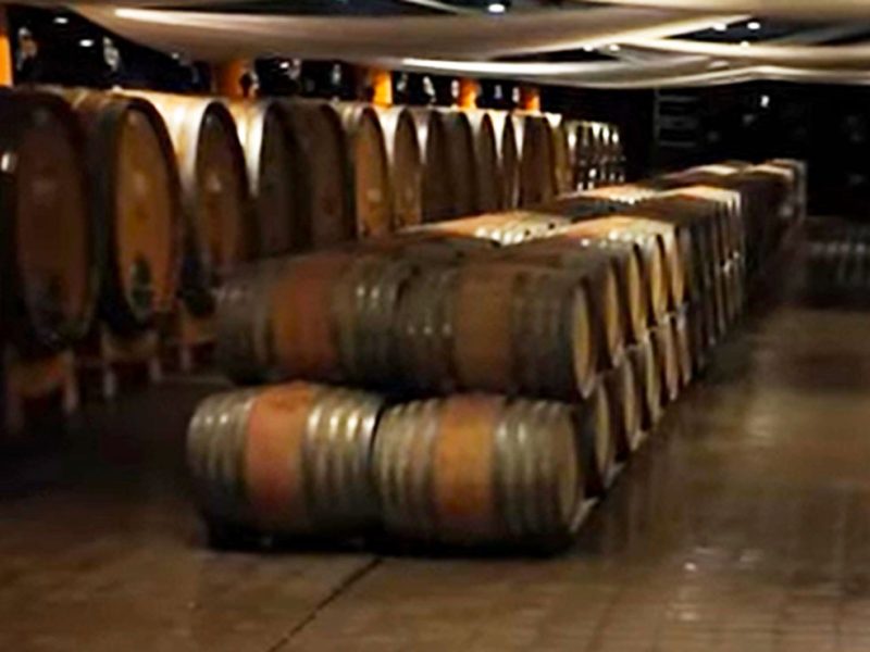 vini-toscani-interno-di-cantina-y1